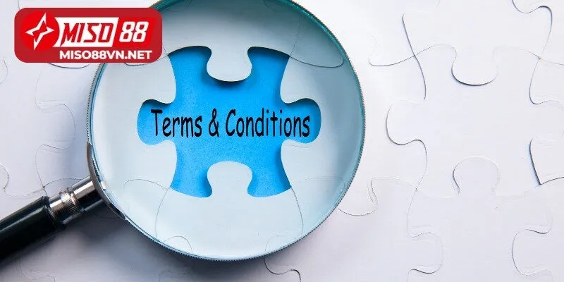 Điều khoản và điều kiện Miso88
