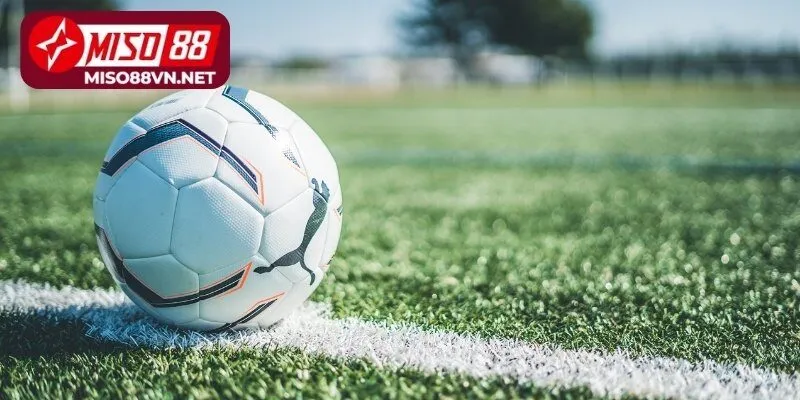 Các yếu tố cuốn hút